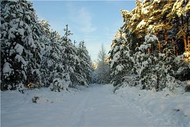 roguelite动作RPG游戏《秘奥法师》Steam页面上线 发售日待定