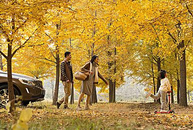 Konami将在TGS 2022上公布一个新作